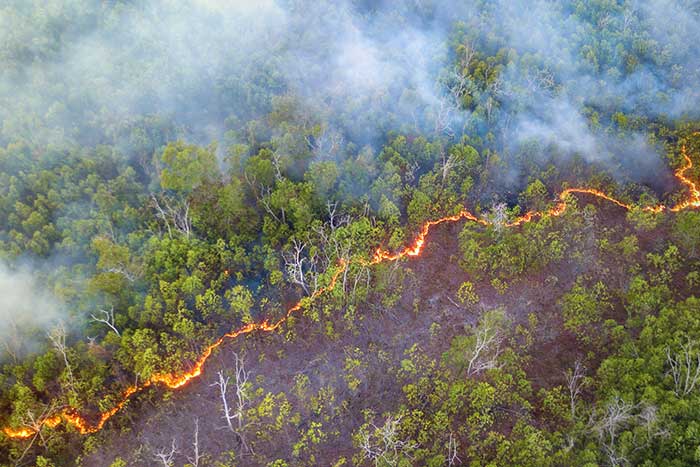 High angle view of bushfire