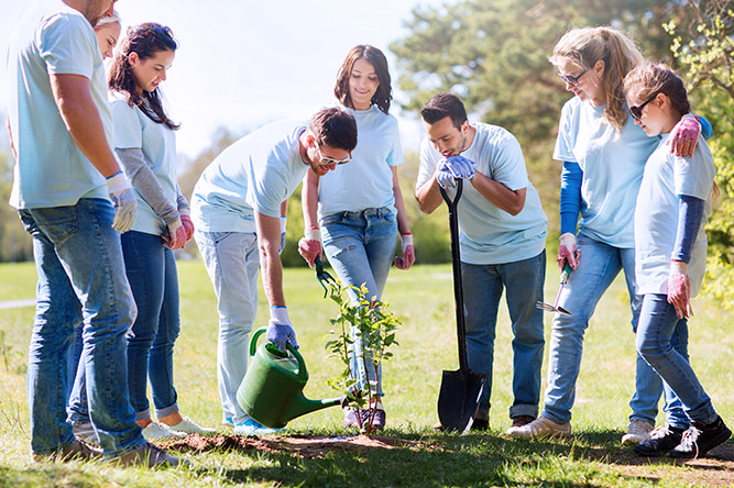 Group of people planting trees together